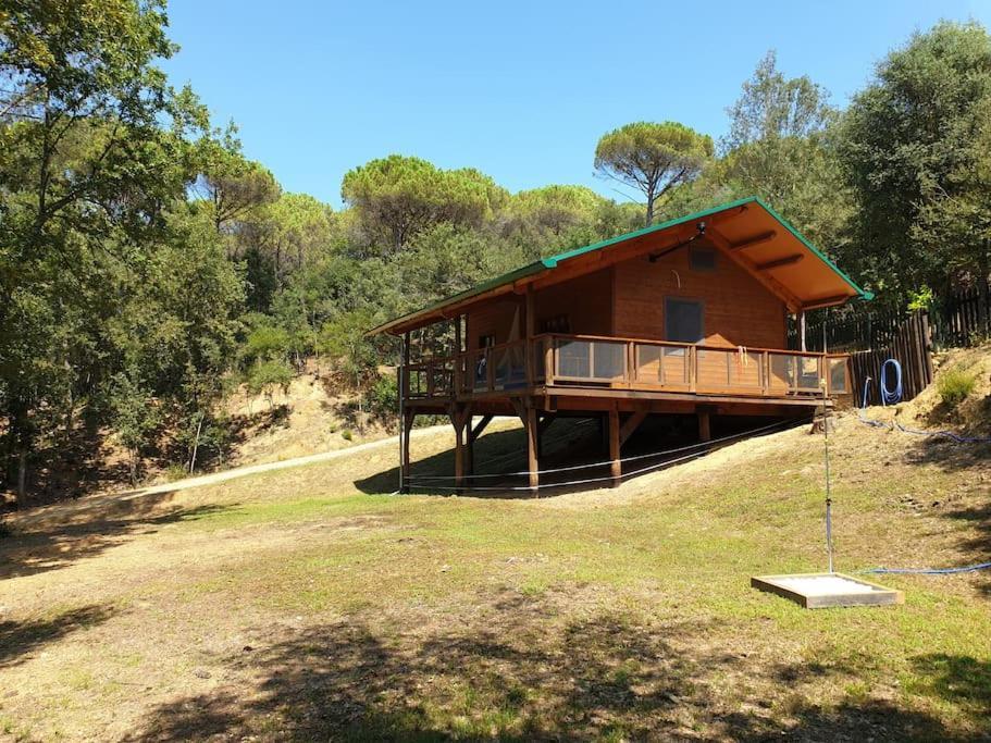 Rustic Cabin In The Woods/Cabana En El Bosque Amer Екстер'єр фото